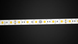 24V FIREBALL™ LED Tape Light