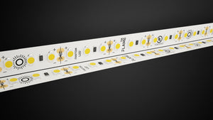 12V FLAME™ LED Tape Light